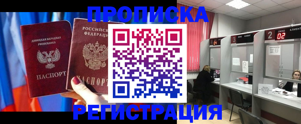прописка в Сольцах